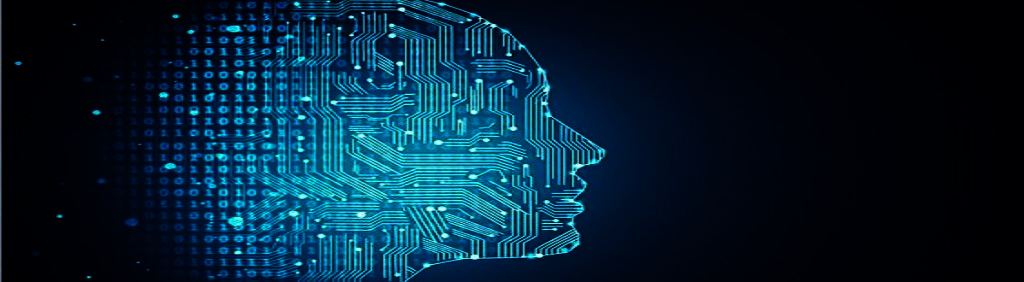 توسعه دهنده نرم افزارهای تحت وب و ویندوزی